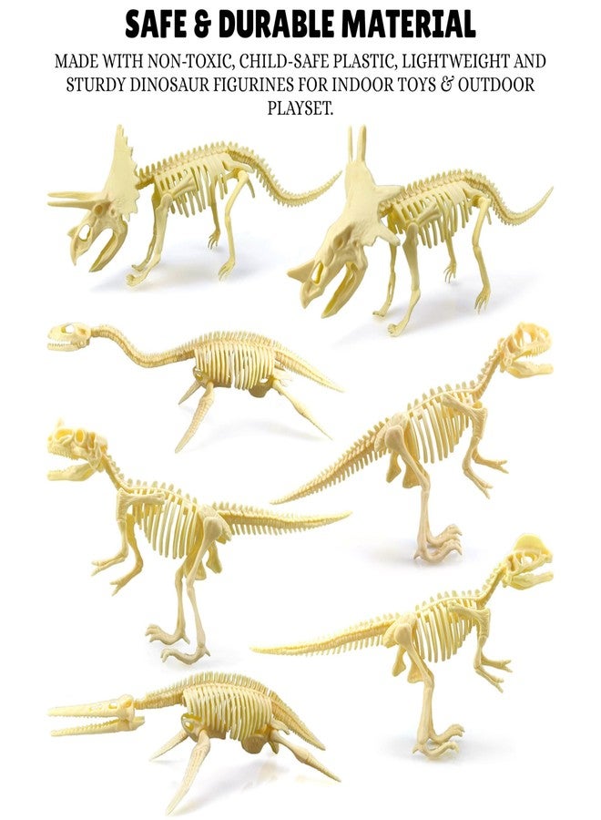 Mallexo مجموعة ماليكسو المصغرة من هياكل الديناصورات الأحفورية، 12 قطعة، ديناصورات تي-ريكس ما قبل التاريخ، ألعاب حيوانات للأطفال، أولاد وبنات، مجسمات صغيرة، عظام ديناصورات، ألعاب، هدية عيد ميلاد للأطفال، أدوات تعليمية وتزيينية. - Image 3